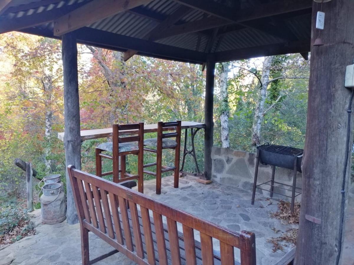 Villa Maple Grove à Hogsback Extérieur photo