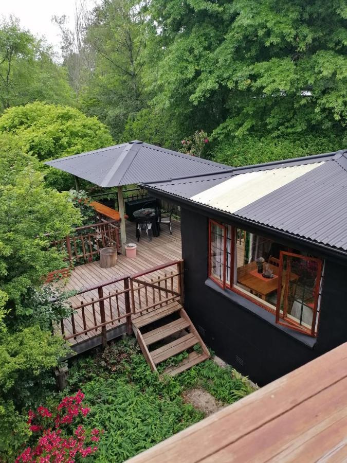 Villa Maple Grove à Hogsback Extérieur photo