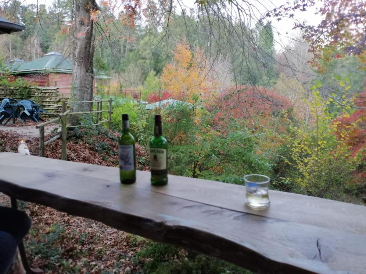 Villa Maple Grove à Hogsback Extérieur photo