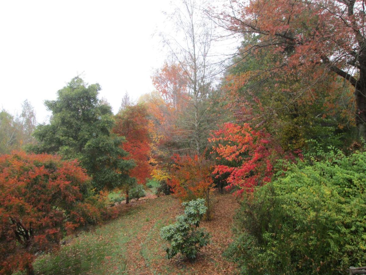 Villa Maple Grove à Hogsback Extérieur photo