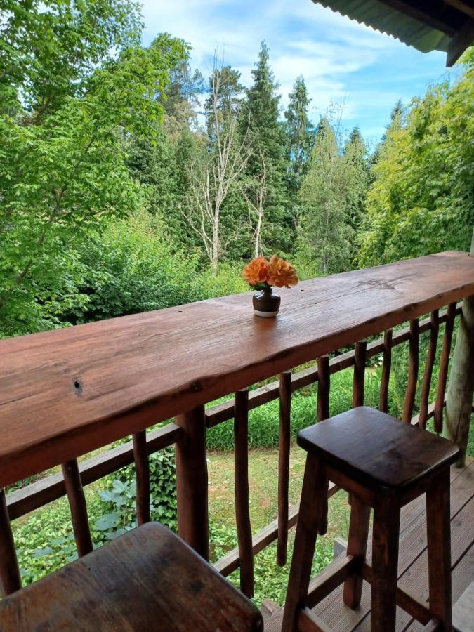 Villa Maple Grove à Hogsback Extérieur photo