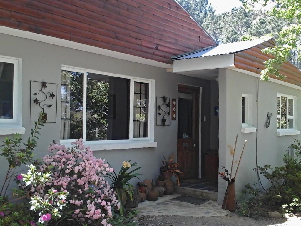Villa Maple Grove à Hogsback Extérieur photo