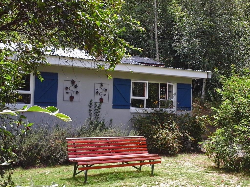 Villa Maple Grove à Hogsback Extérieur photo