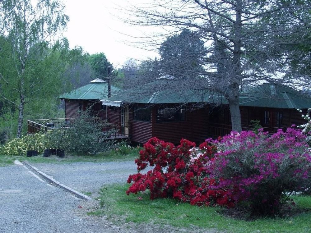 Villa Maple Grove à Hogsback Extérieur photo