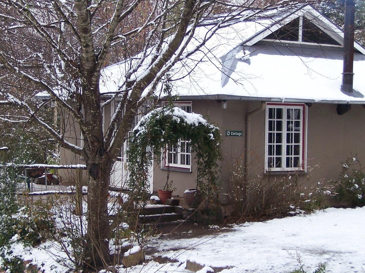 Villa Maple Grove à Hogsback Extérieur photo