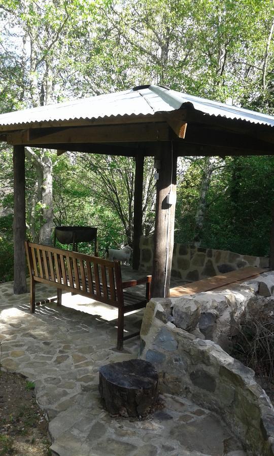 Villa Maple Grove à Hogsback Extérieur photo