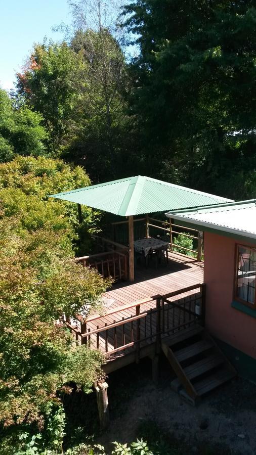 Villa Maple Grove à Hogsback Extérieur photo