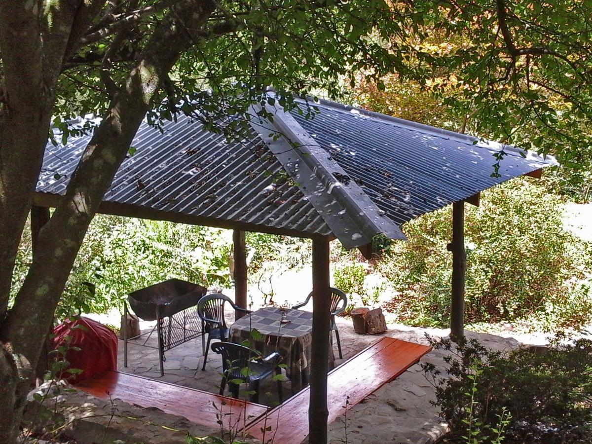 Villa Maple Grove à Hogsback Extérieur photo