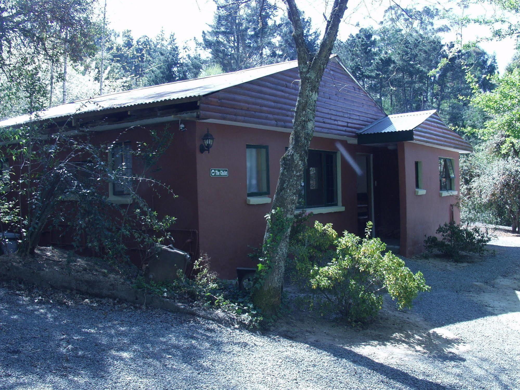 Villa Maple Grove à Hogsback Extérieur photo