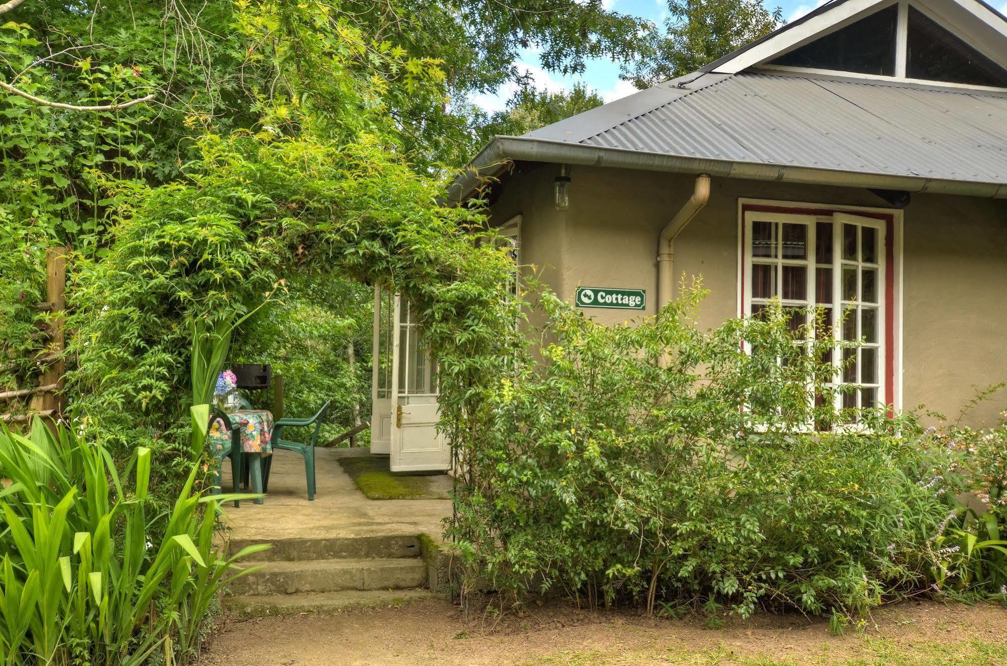 Villa Maple Grove à Hogsback Extérieur photo