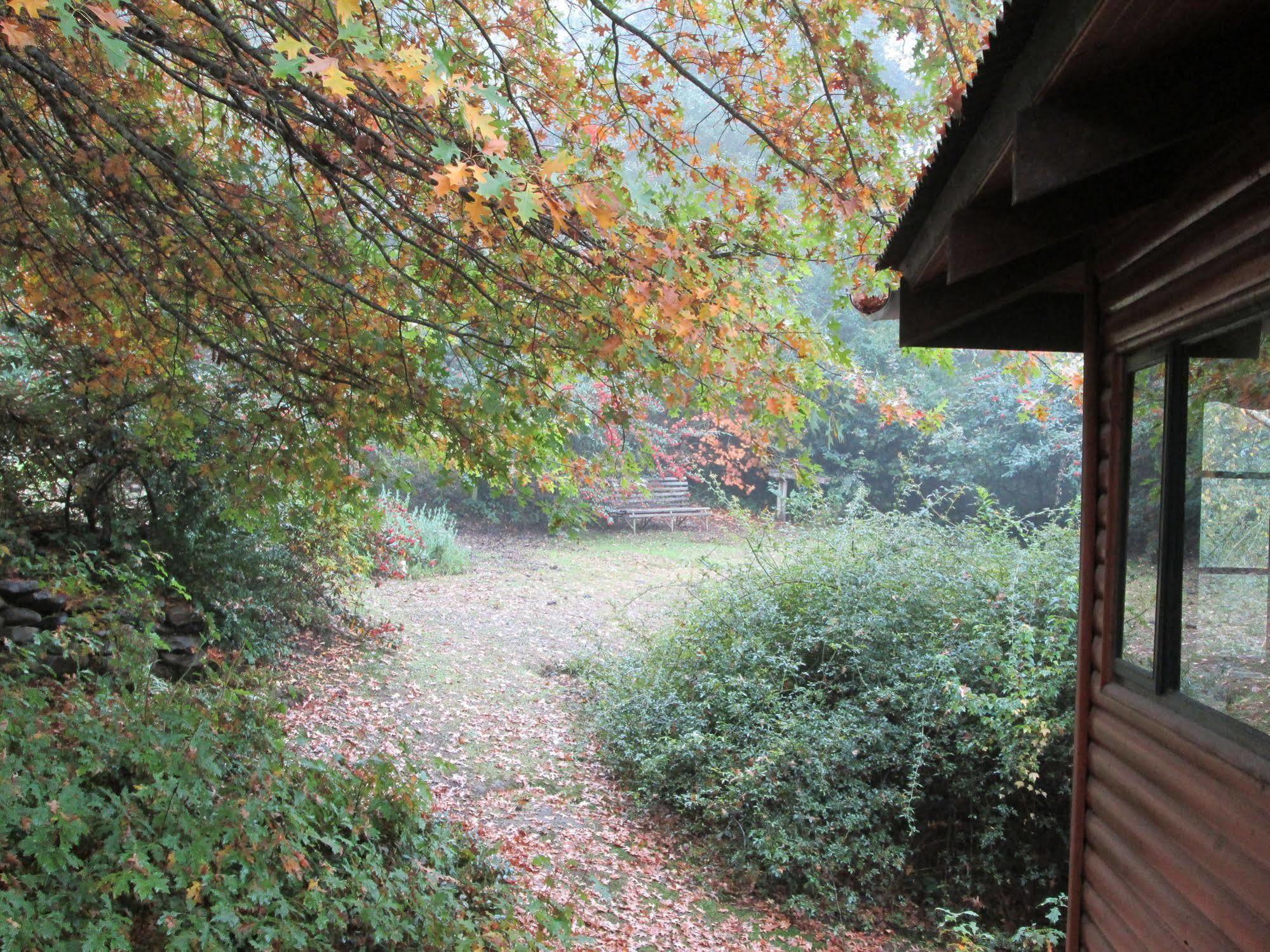 Villa Maple Grove à Hogsback Extérieur photo