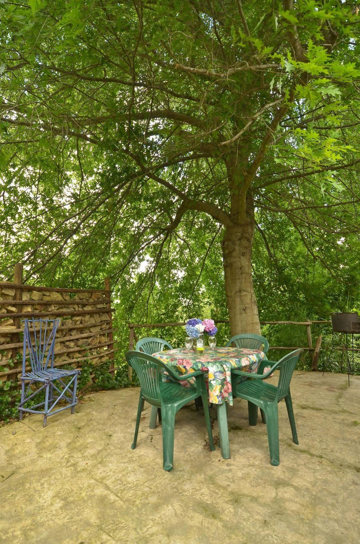 Villa Maple Grove à Hogsback Extérieur photo
