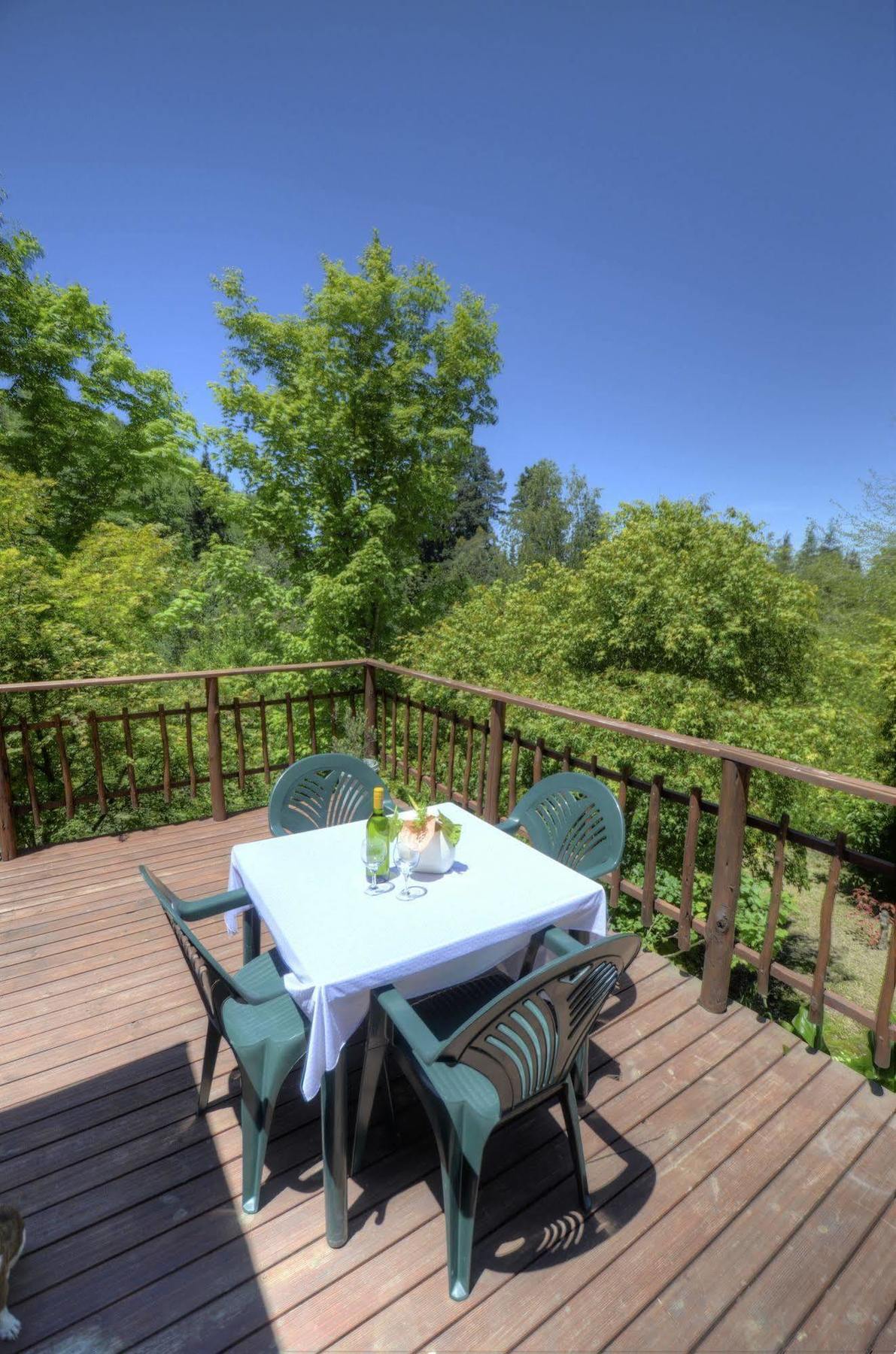 Villa Maple Grove à Hogsback Extérieur photo