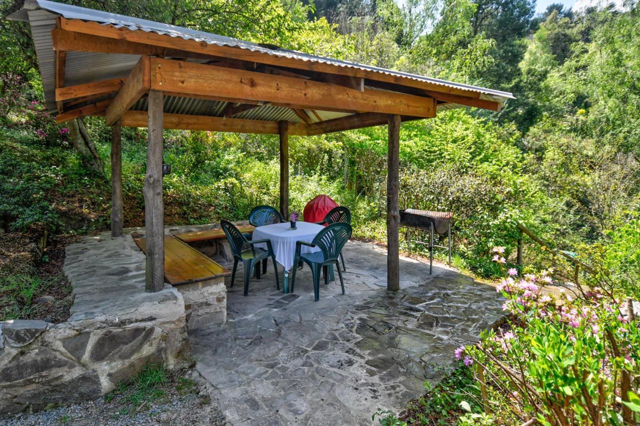 Villa Maple Grove à Hogsback Extérieur photo