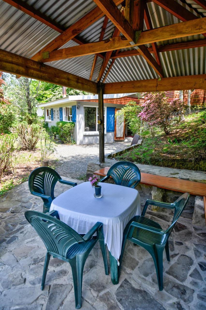 Villa Maple Grove à Hogsback Extérieur photo