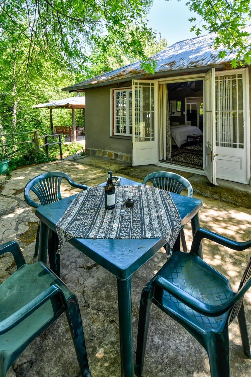 Villa Maple Grove à Hogsback Extérieur photo