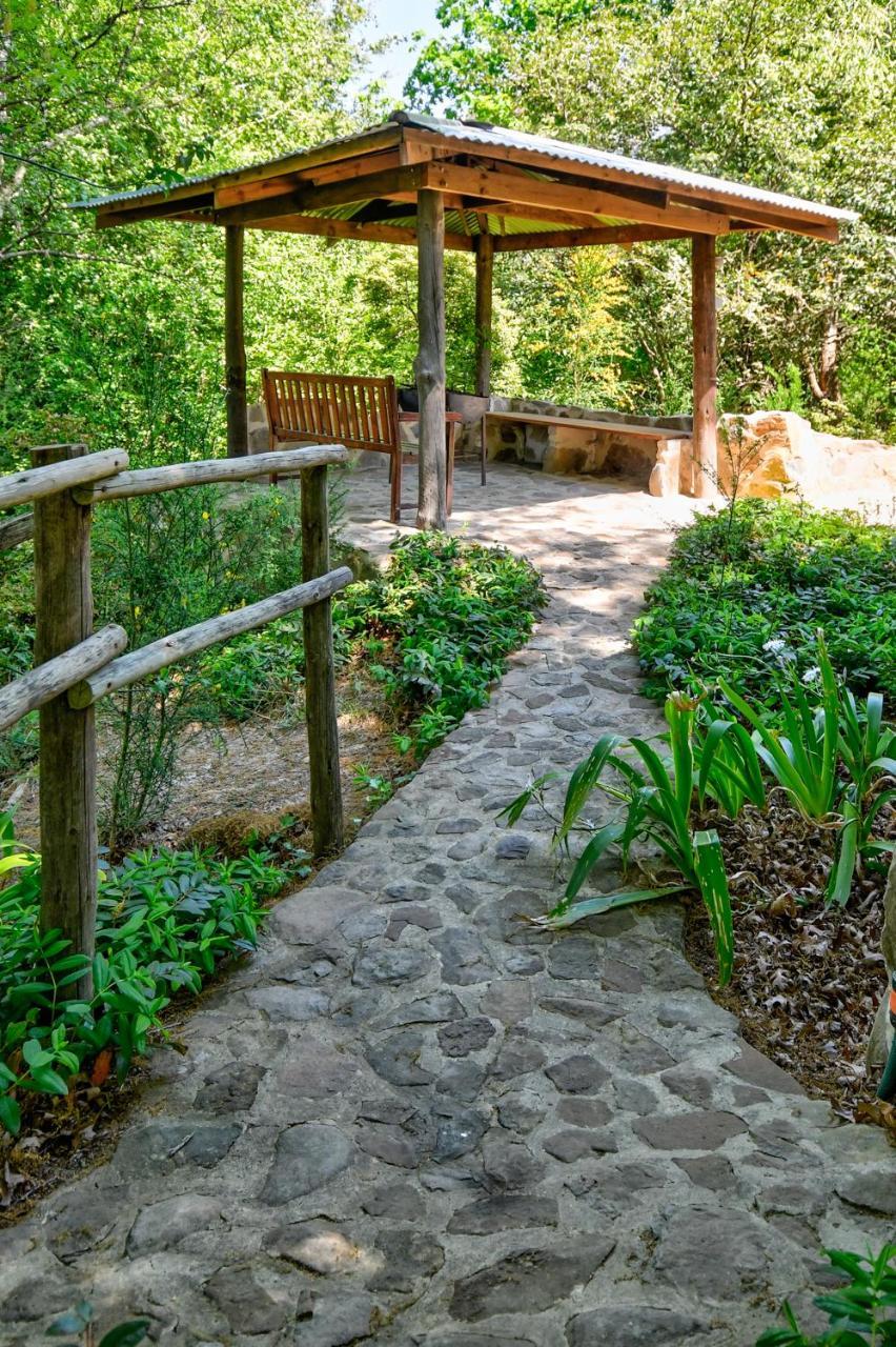 Villa Maple Grove à Hogsback Extérieur photo