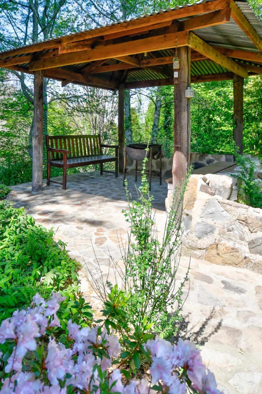 Villa Maple Grove à Hogsback Extérieur photo