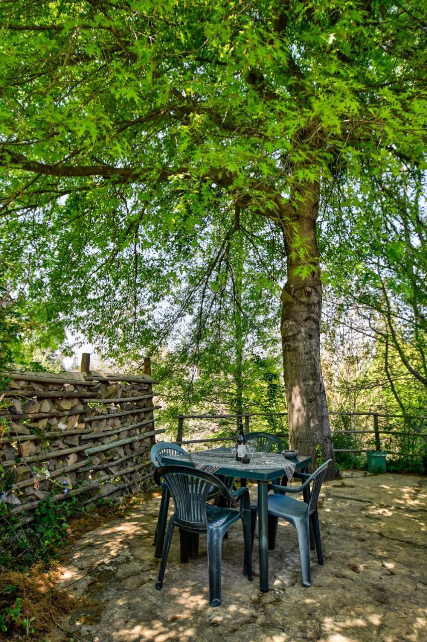 Villa Maple Grove à Hogsback Extérieur photo