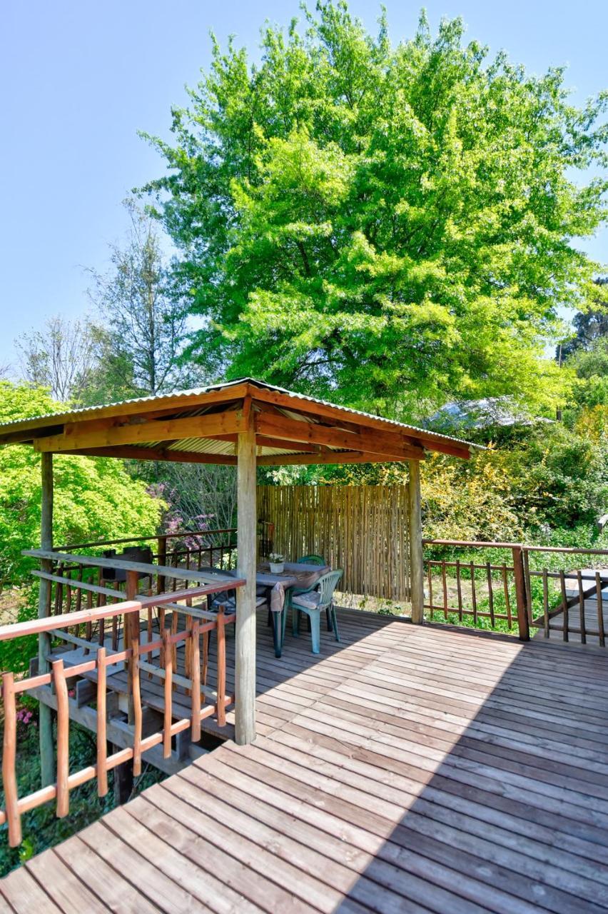Villa Maple Grove à Hogsback Extérieur photo